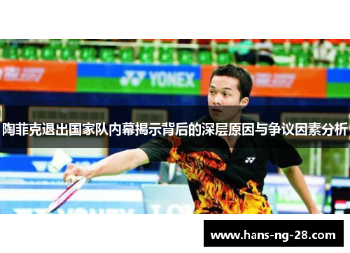 陶菲克退出国家队内幕揭示背后的深层原因与争议因素分析 陶菲克退出国家队内幕揭示背后的深层原因与争议因素分析